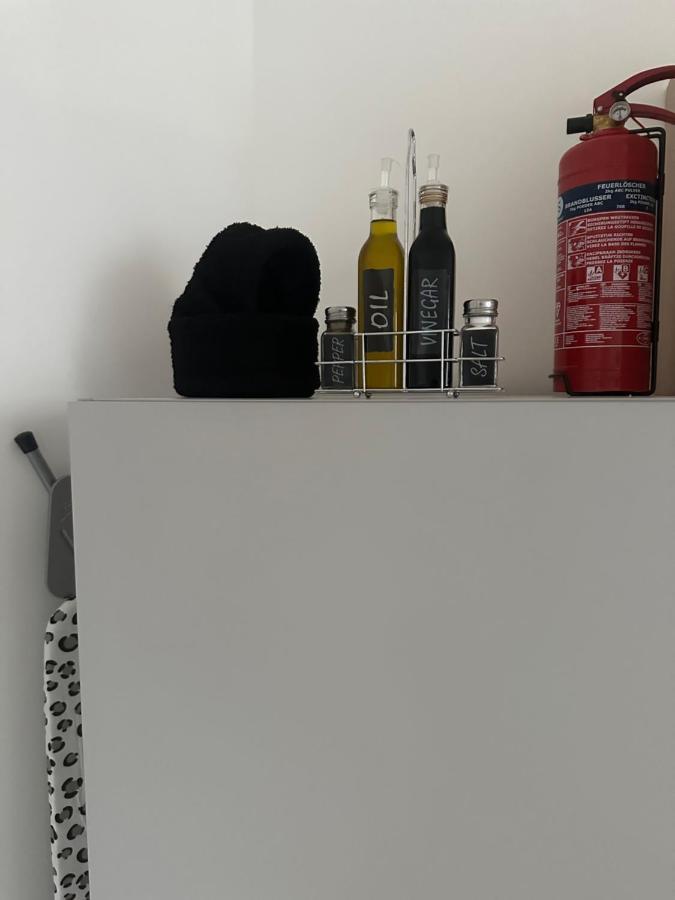 Klimatisiertes Dachgeschoss City Apartment In Zentrum Wiens エクステリア 写真