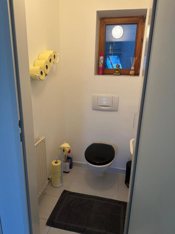 Klimatisiertes Dachgeschoss City Apartment In Zentrum Wiens エクステリア 写真