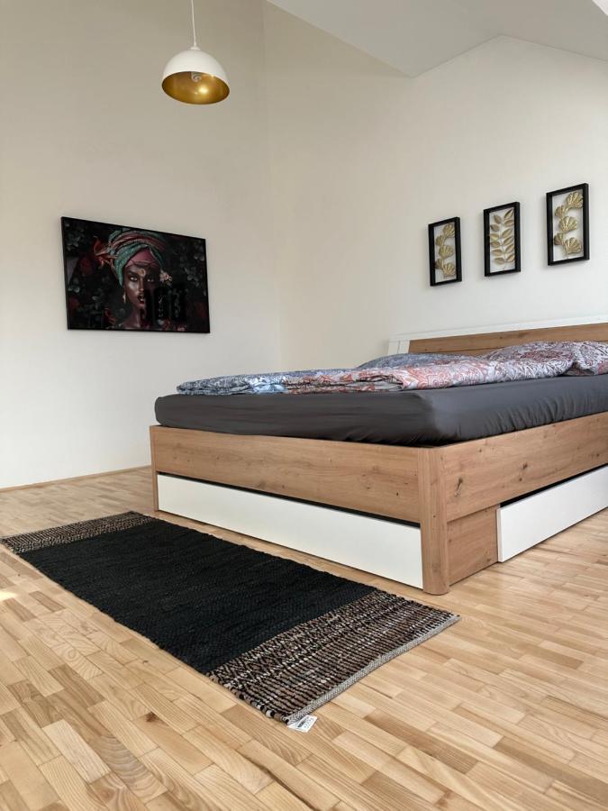 Klimatisiertes Dachgeschoss City Apartment In Zentrum Wiens エクステリア 写真